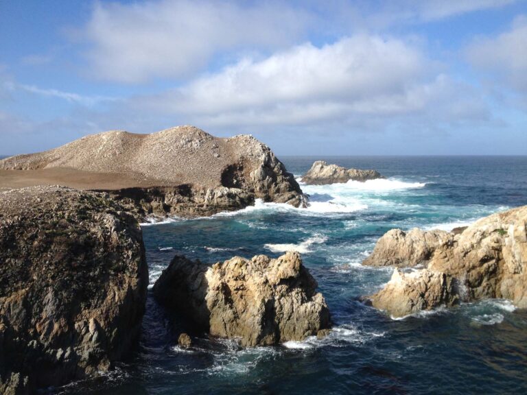 Bird Island Trail (Point Lobos State Park)