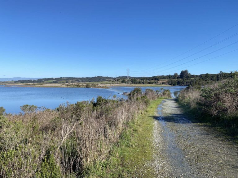 South Marsh Loop (Elkhorn Slough)