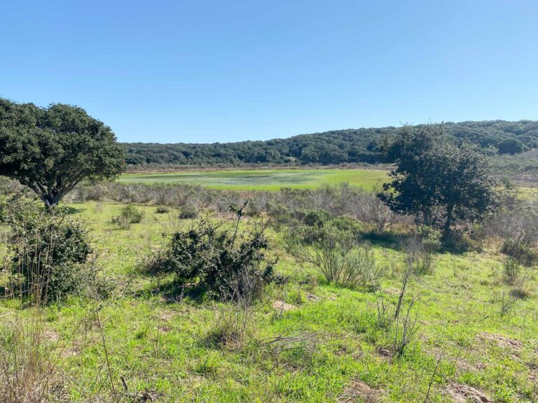 Jerry Smith Access Corridor (Fort Ord)