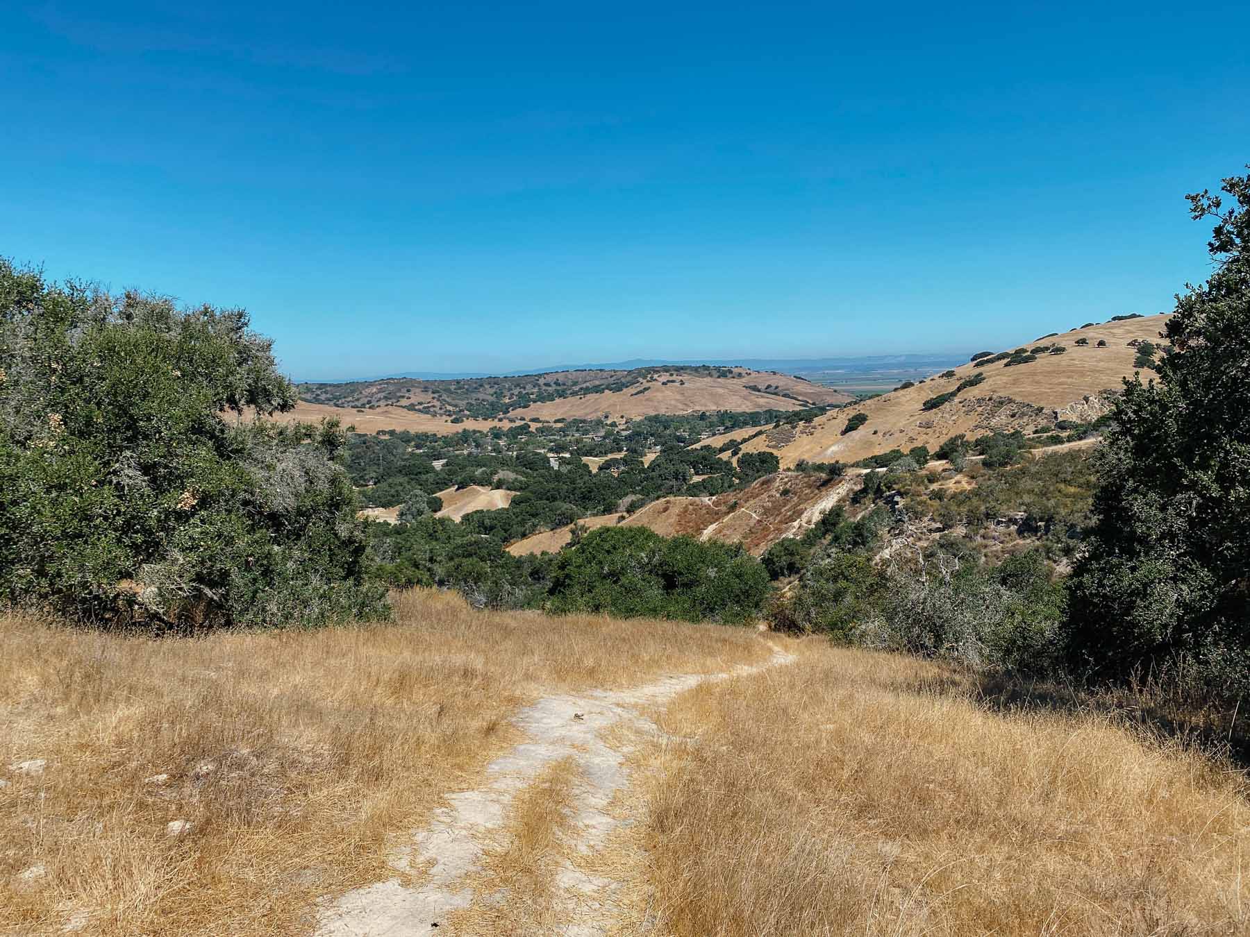 Toyon Ridge (Toro County Park)